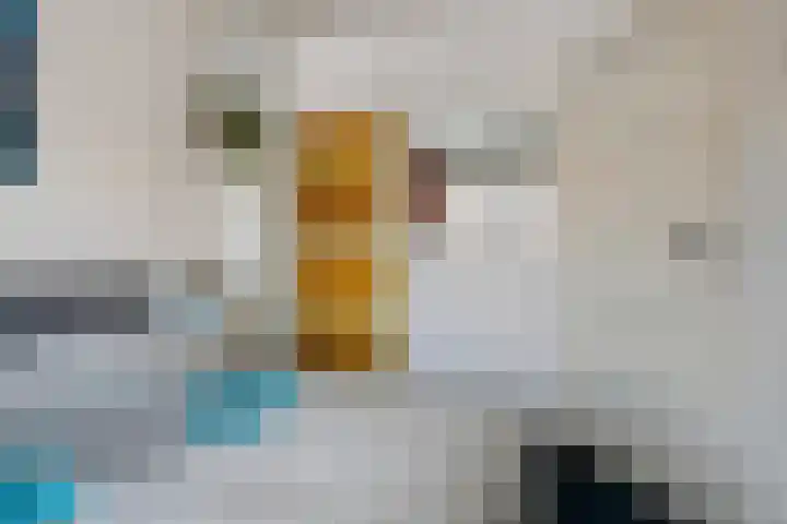 Wilgenroosstraat 14 Eindhoven thumbnail 22