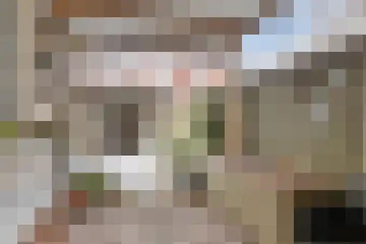 Wilgenroosstraat 14 Eindhoven thumbnail 33