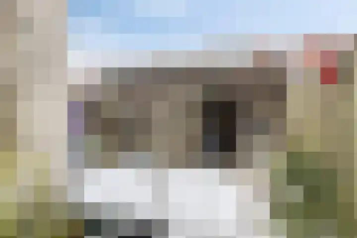 Wilgenroosstraat 14 Eindhoven thumbnail 35
