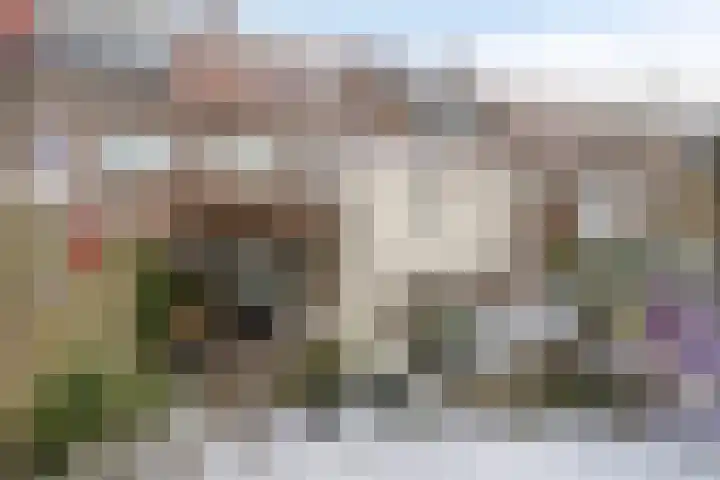 Wilgenroosstraat 14 Eindhoven thumbnail 36