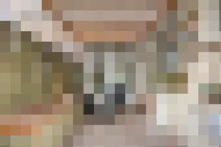Wilgenroosstraat 14 Eindhoven thumbnail 4