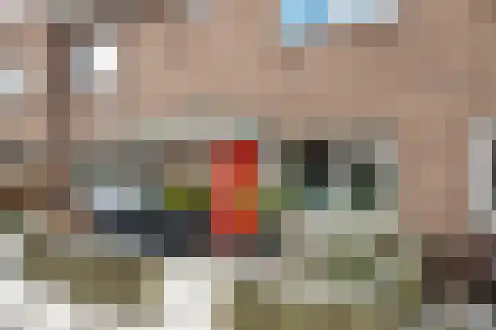 Wilgenroosstraat 14 Eindhoven thumbnail 5