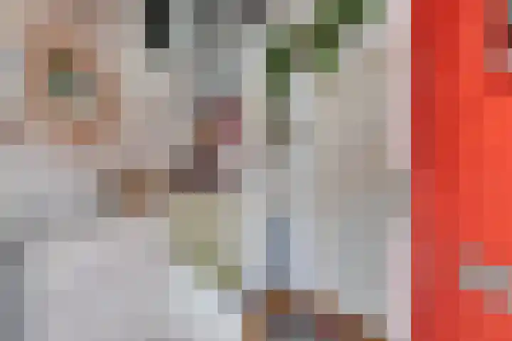 Wilgenroosstraat 14 Eindhoven thumbnail 7