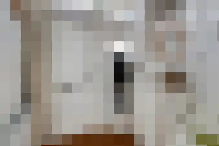 Wilgenroosstraat 14 Eindhoven thumbnail 8