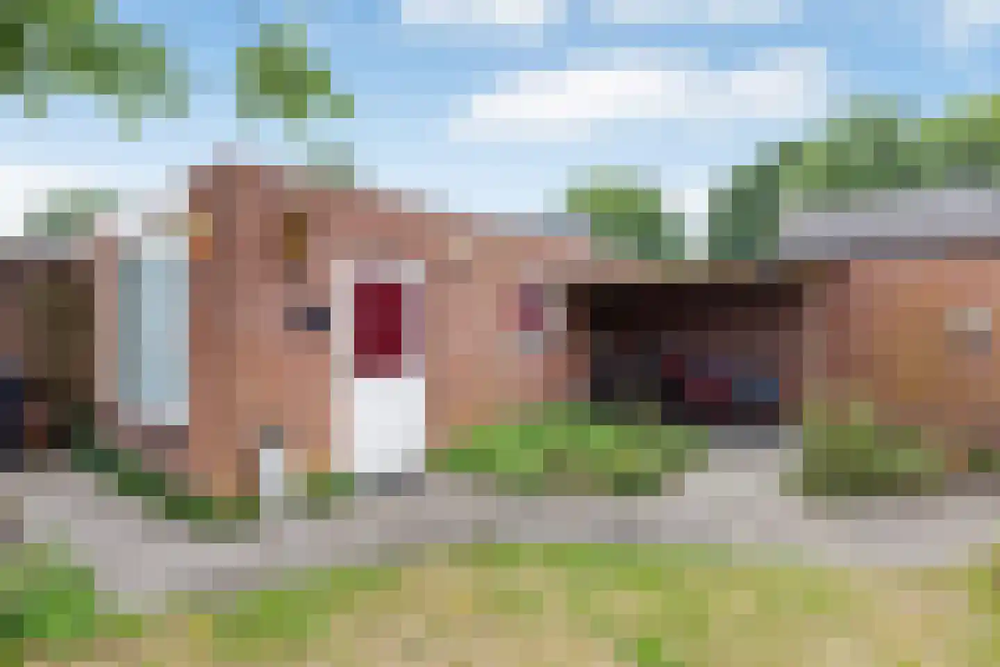 Wilgenroosstraat 24 Bakel thumbnail 28
