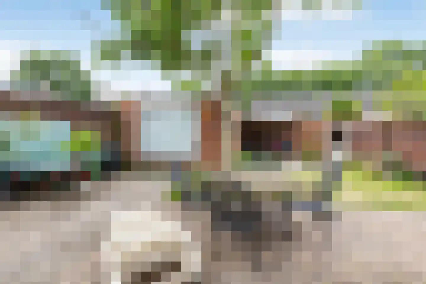 Wilgenroosstraat 24 Bakel thumbnail 29