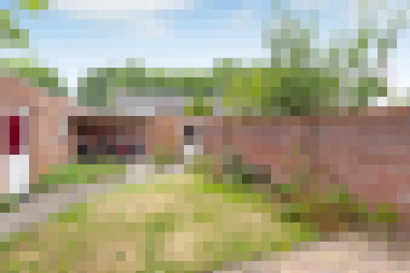 Wilgenroosstraat 24 Bakel thumbnail 30