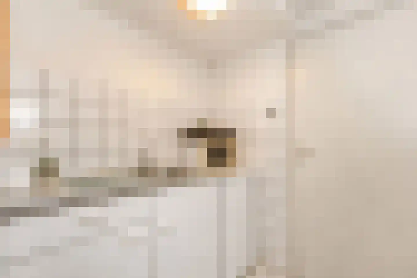 Wilgenroosstraat 24 Bakel thumbnail 33