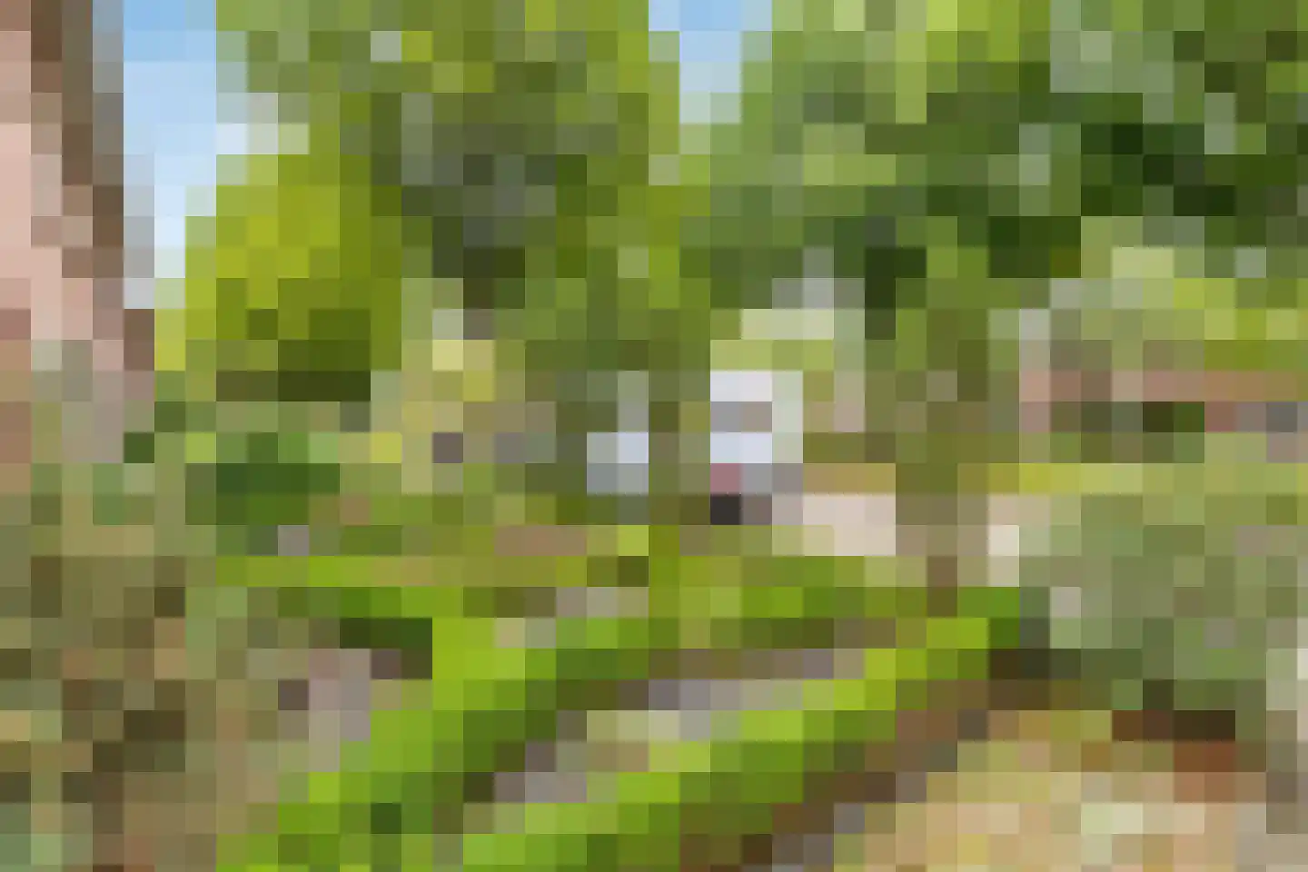 Wilgenroosstraat 24 Bakel thumbnail 37