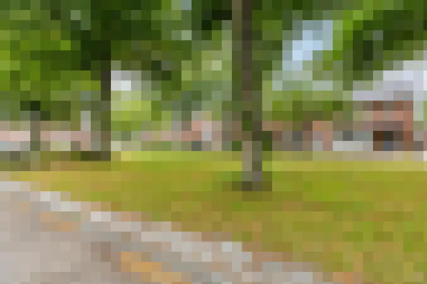 Wilgenroosstraat 24 Bakel thumbnail 39