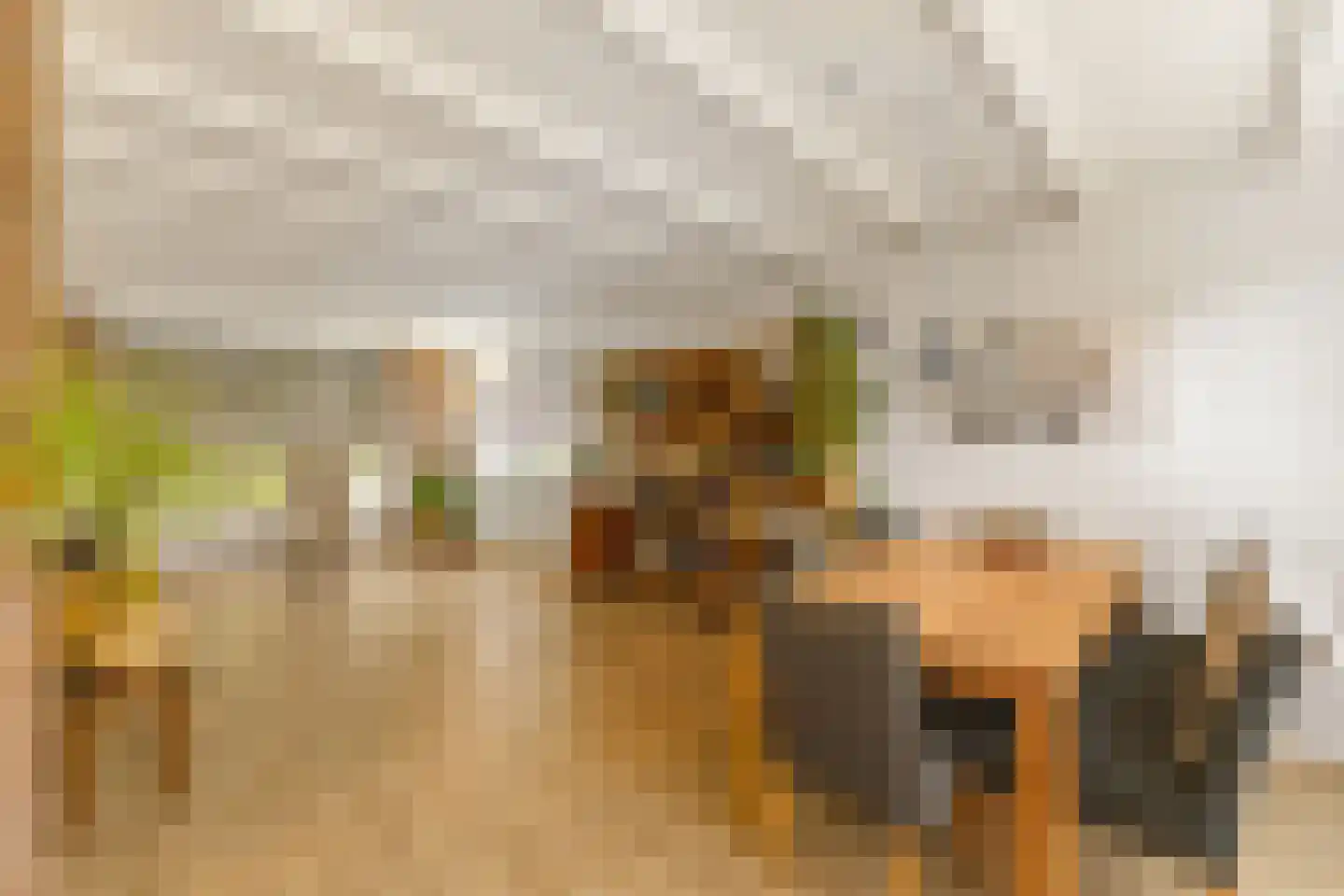 Wilgenroosstraat 24 Bakel thumbnail 4