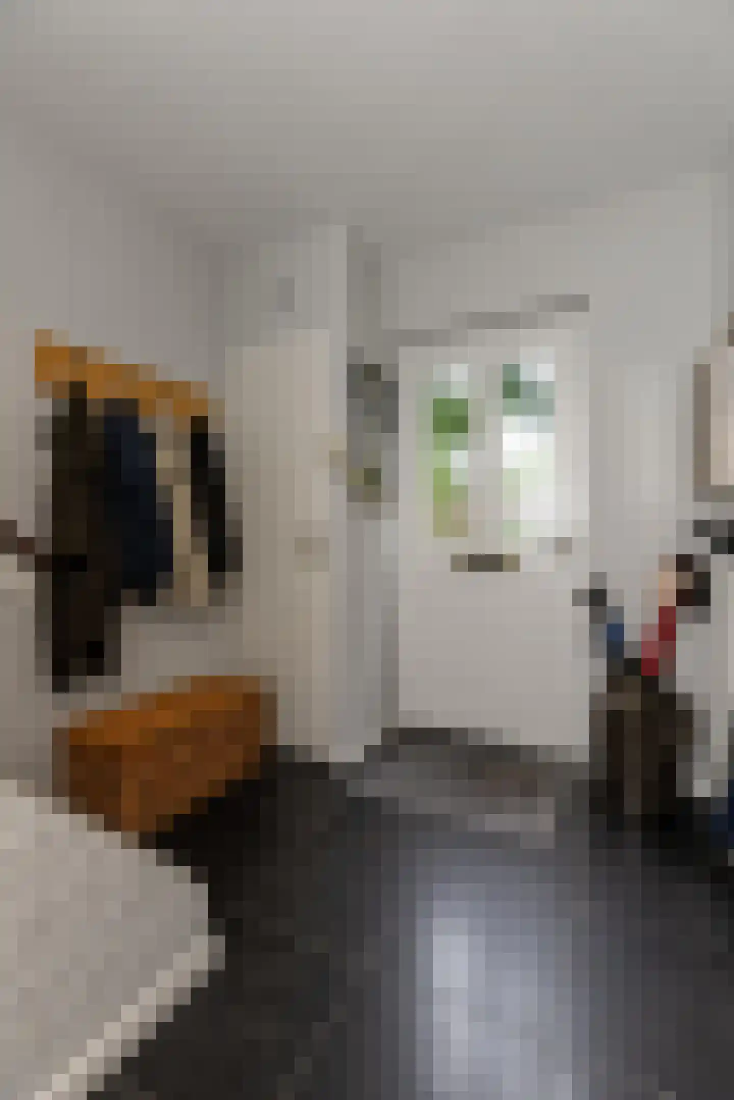 Wilgenroosstraat 24 Bakel thumbnail 8