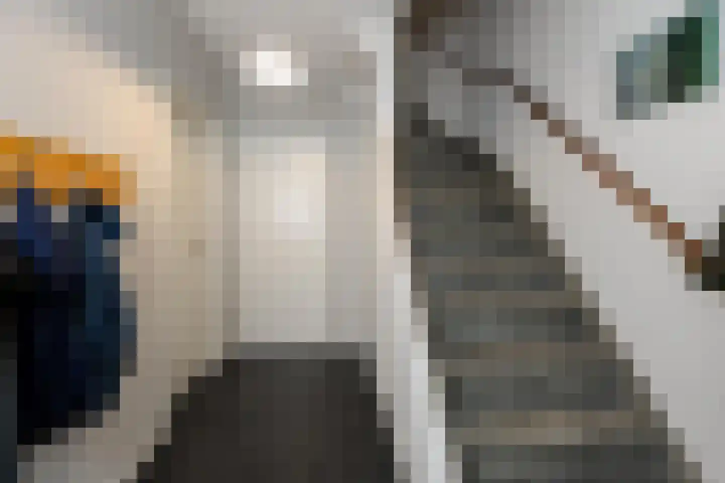 Wilgenroosstraat 24 Bakel thumbnail 9