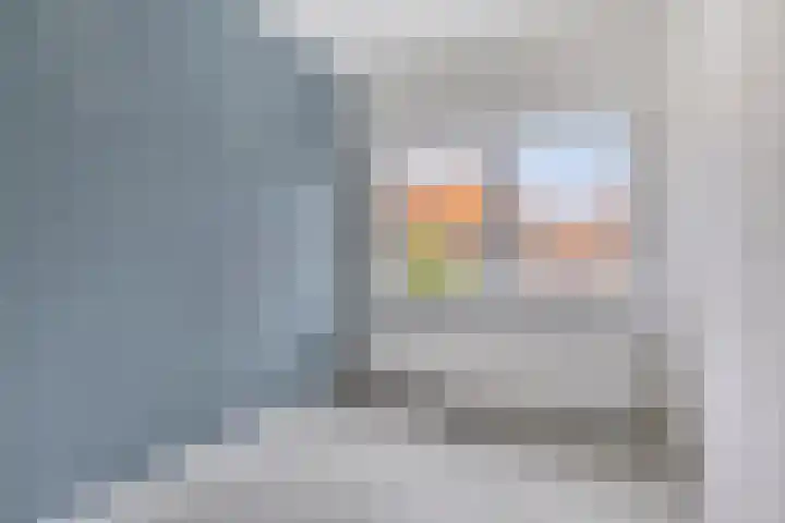 Wilgenroosstraat 29 Eindhoven thumbnail 17