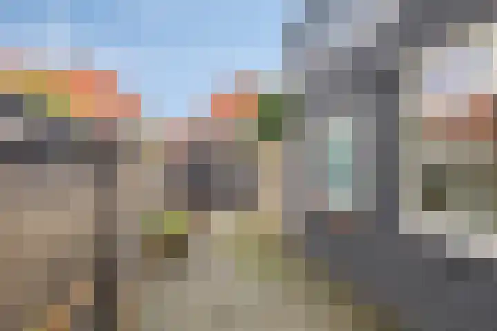 Wilgenroosstraat 29 Eindhoven thumbnail 23
