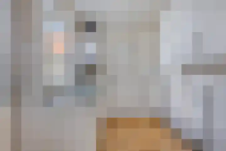 Wilgenroosstraat 29 Eindhoven thumbnail 8