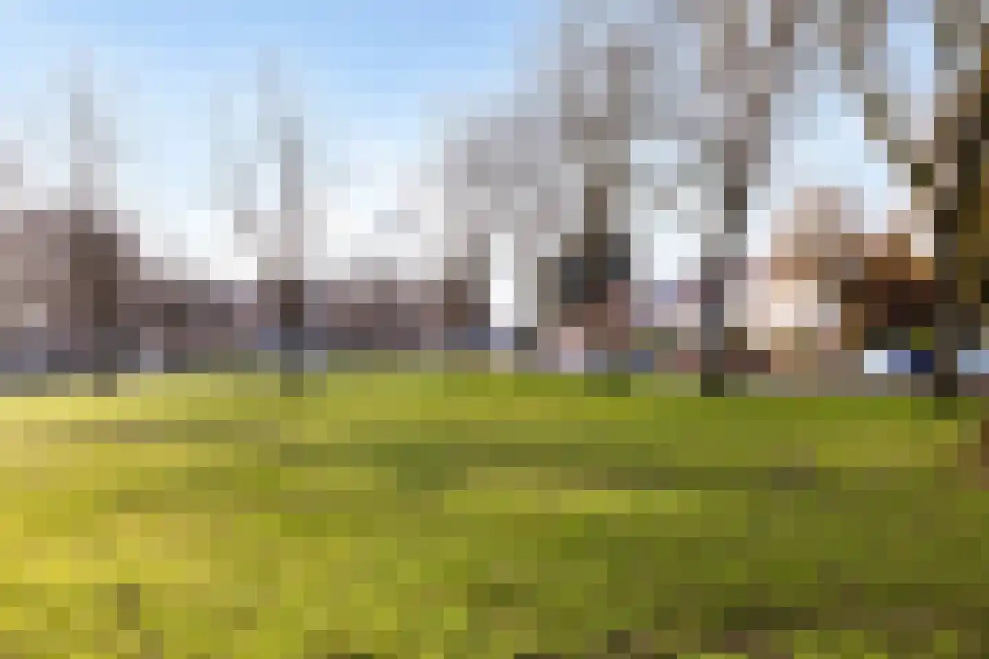 Wilgenroosstraat 67 Eindhoven thumbnail 44