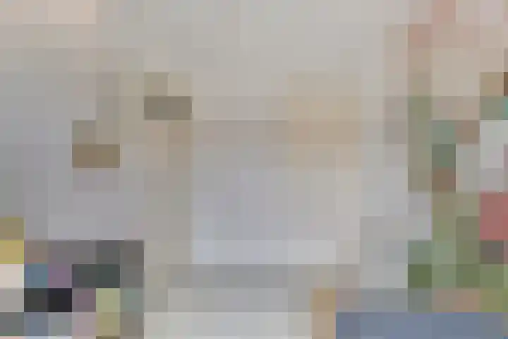 Wilgenroosstraat 8 Eindhoven thumbnail 13