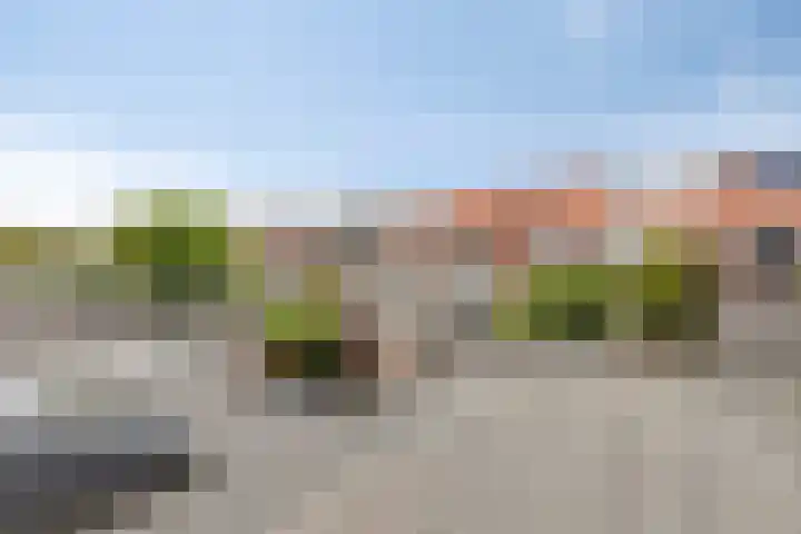 Wilgenroosstraat 8 Eindhoven thumbnail 17