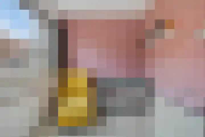 Wilgenroosstraat 8 Eindhoven thumbnail 19