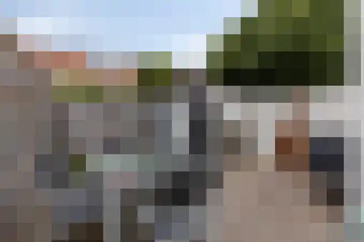 Wilgenroosstraat 8 Eindhoven thumbnail 24