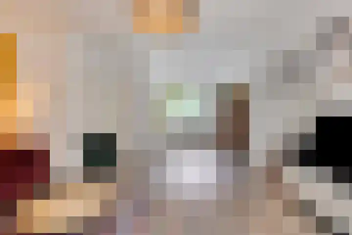Wilgenroosstraat 8 Eindhoven thumbnail 6