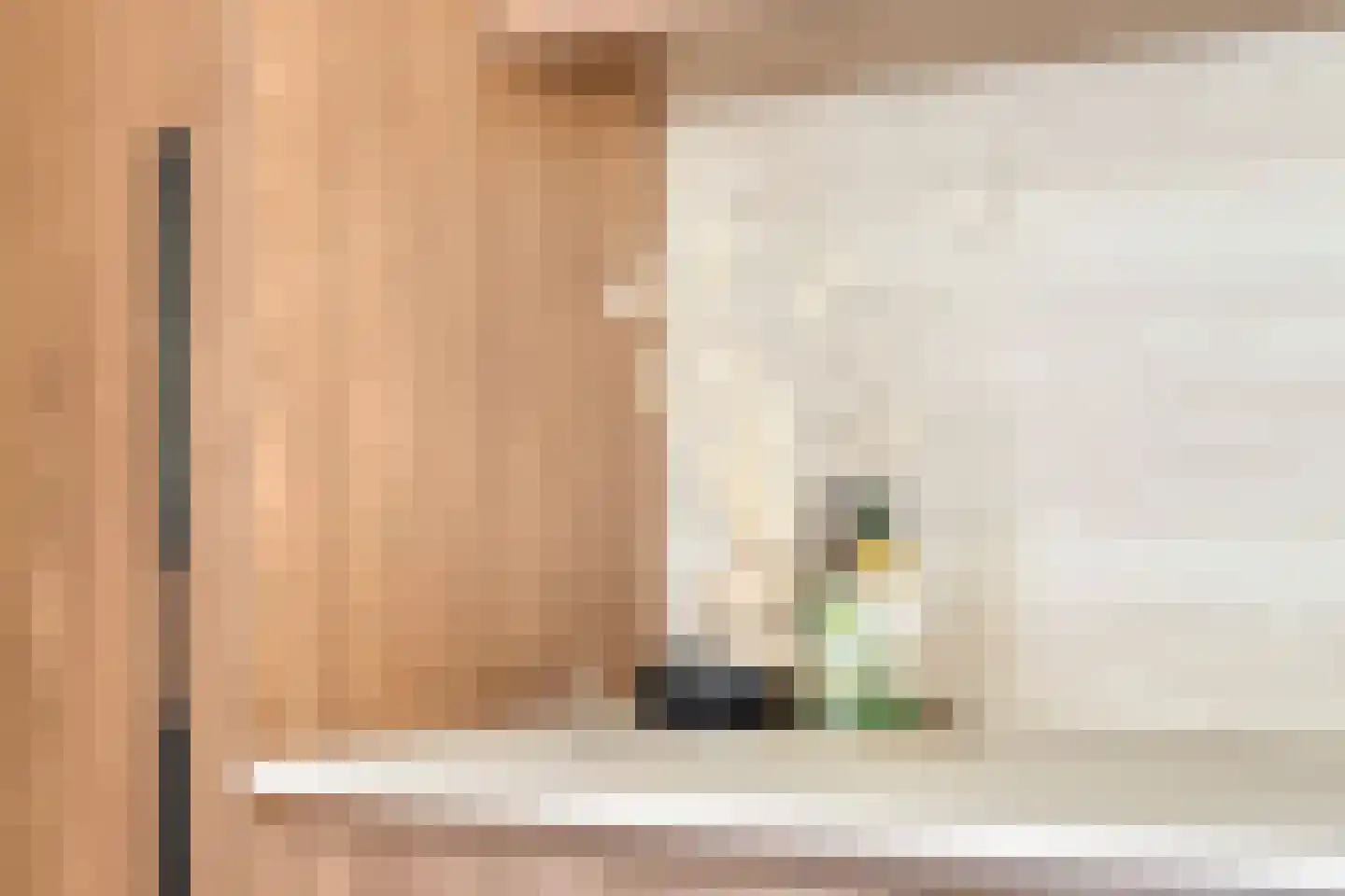 Wilgenroosstraat 9 Eindhoven thumbnail 13