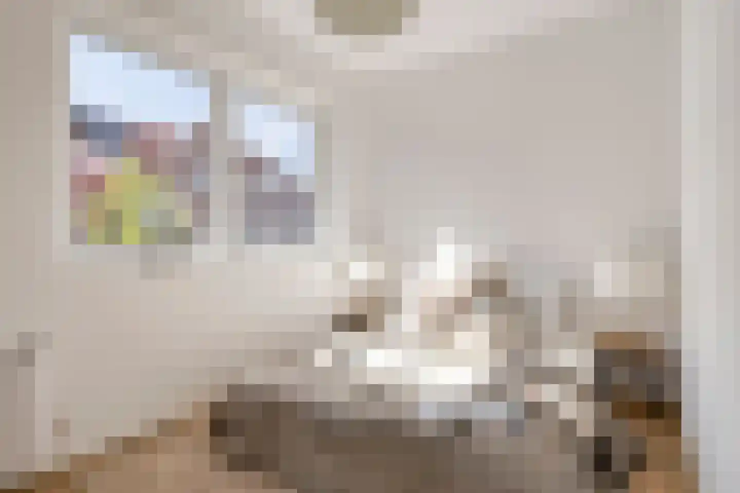 Wilgenroosstraat 9 Eindhoven thumbnail 20