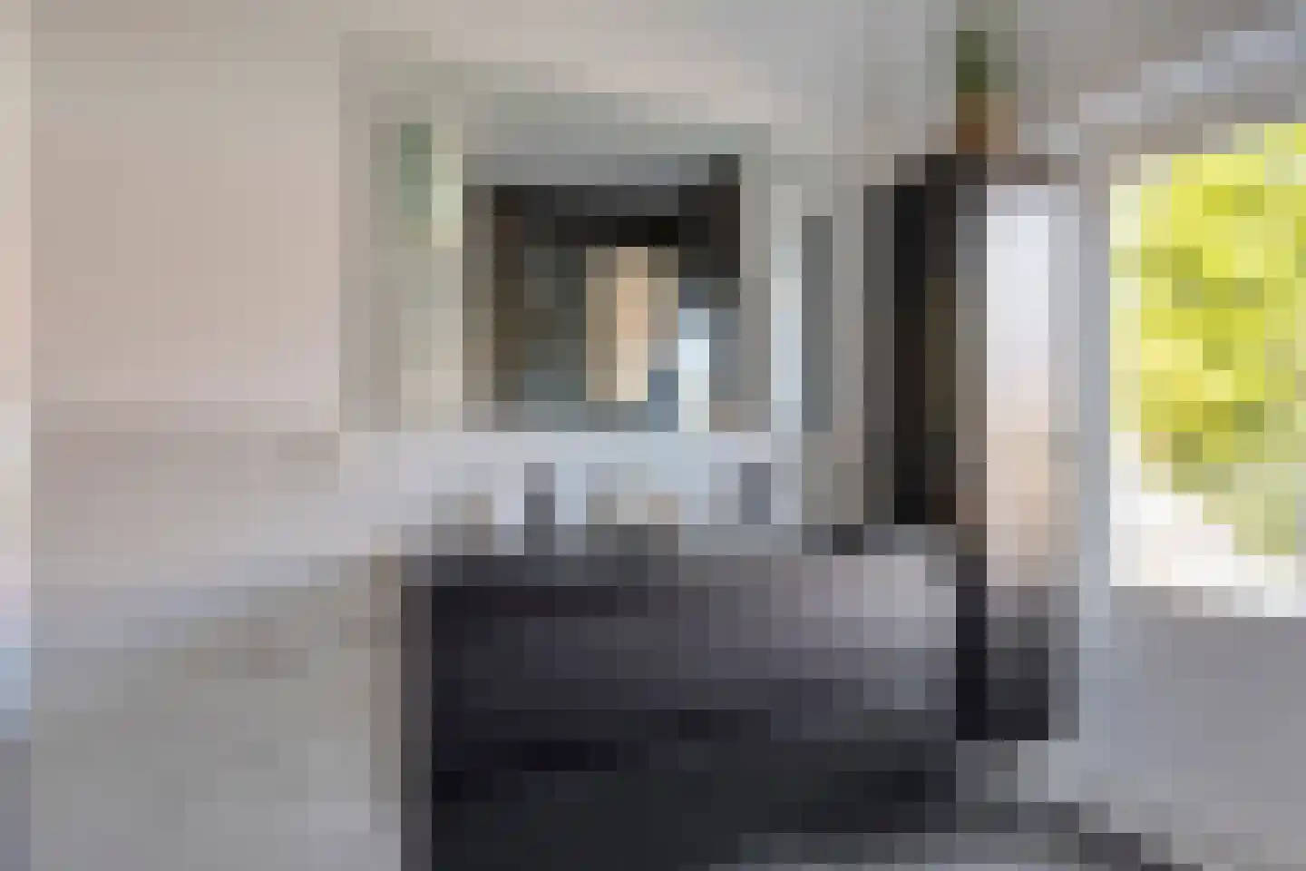 Wilgenroosstraat 9 Eindhoven thumbnail 22