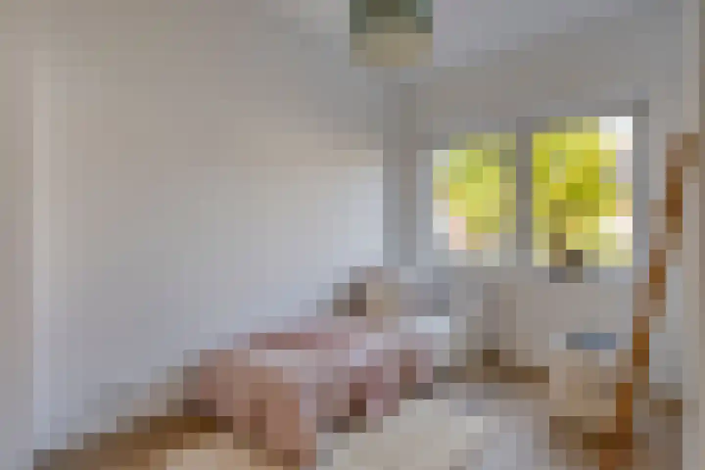 Wilgenroosstraat 9 Eindhoven thumbnail 27