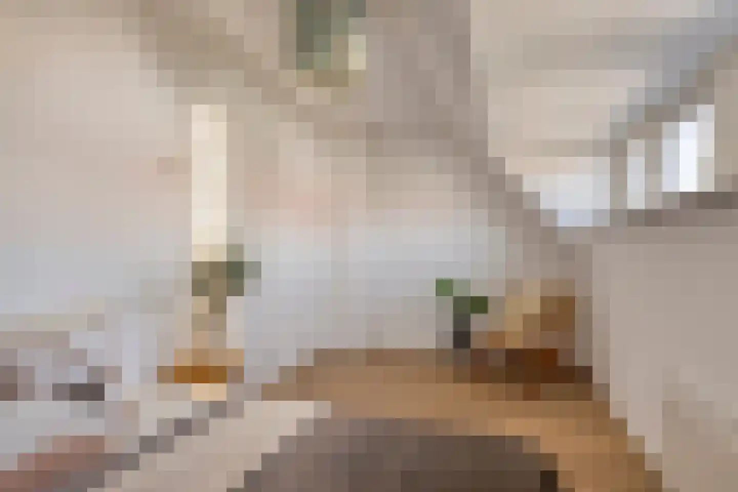 Wilgenroosstraat 9 Eindhoven thumbnail 29