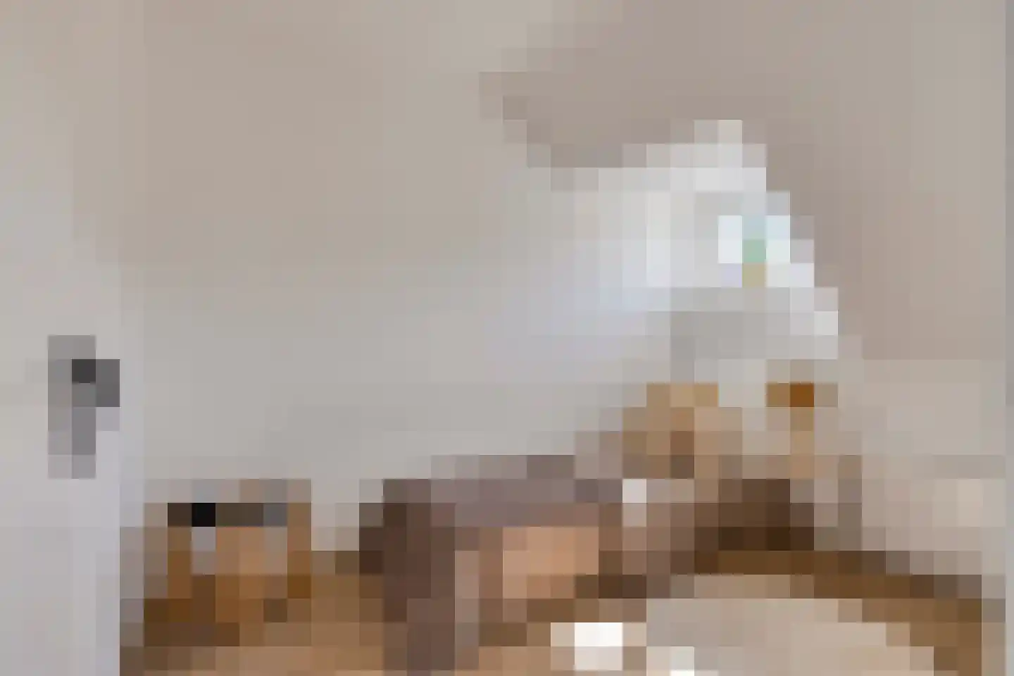 Wilgenroosstraat 9 Eindhoven thumbnail 30