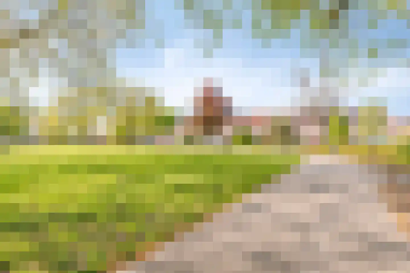Wilgenroosstraat 9 Eindhoven thumbnail 34