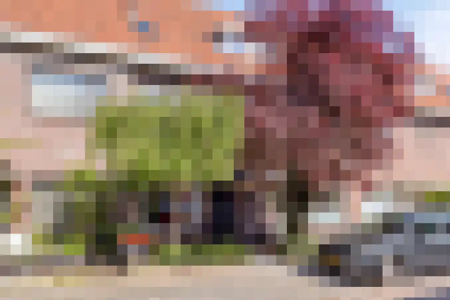 Wilgenroosstraat 9 Eindhoven thumbnail 4