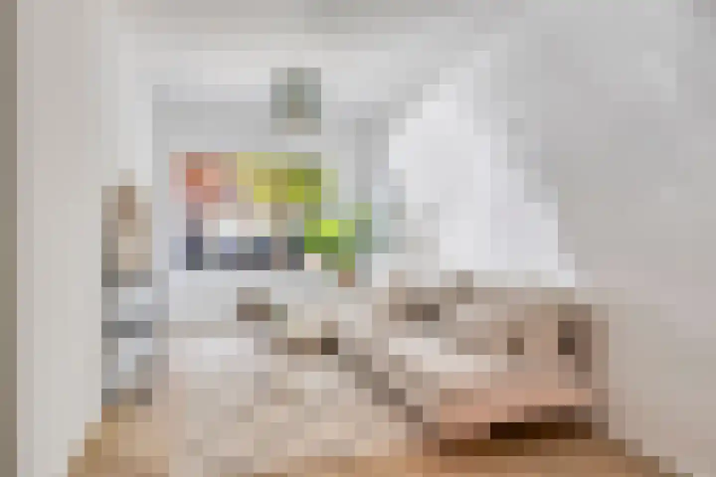 Wilgenroosstraat 9 Eindhoven thumbnail 7