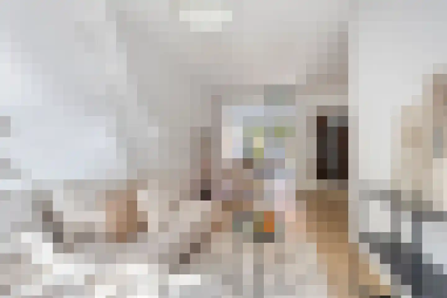 Wilgenroosstraat 9 Eindhoven thumbnail 8