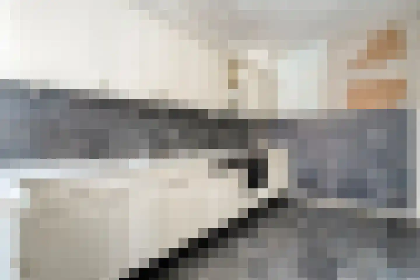 Wilgensingel 50 Raalte thumbnail 15