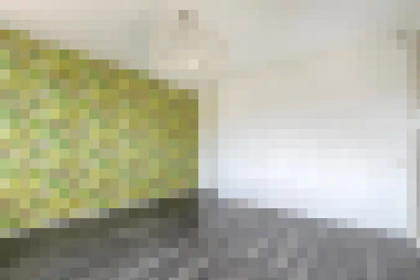 Wilgensingel 50 Raalte thumbnail 21