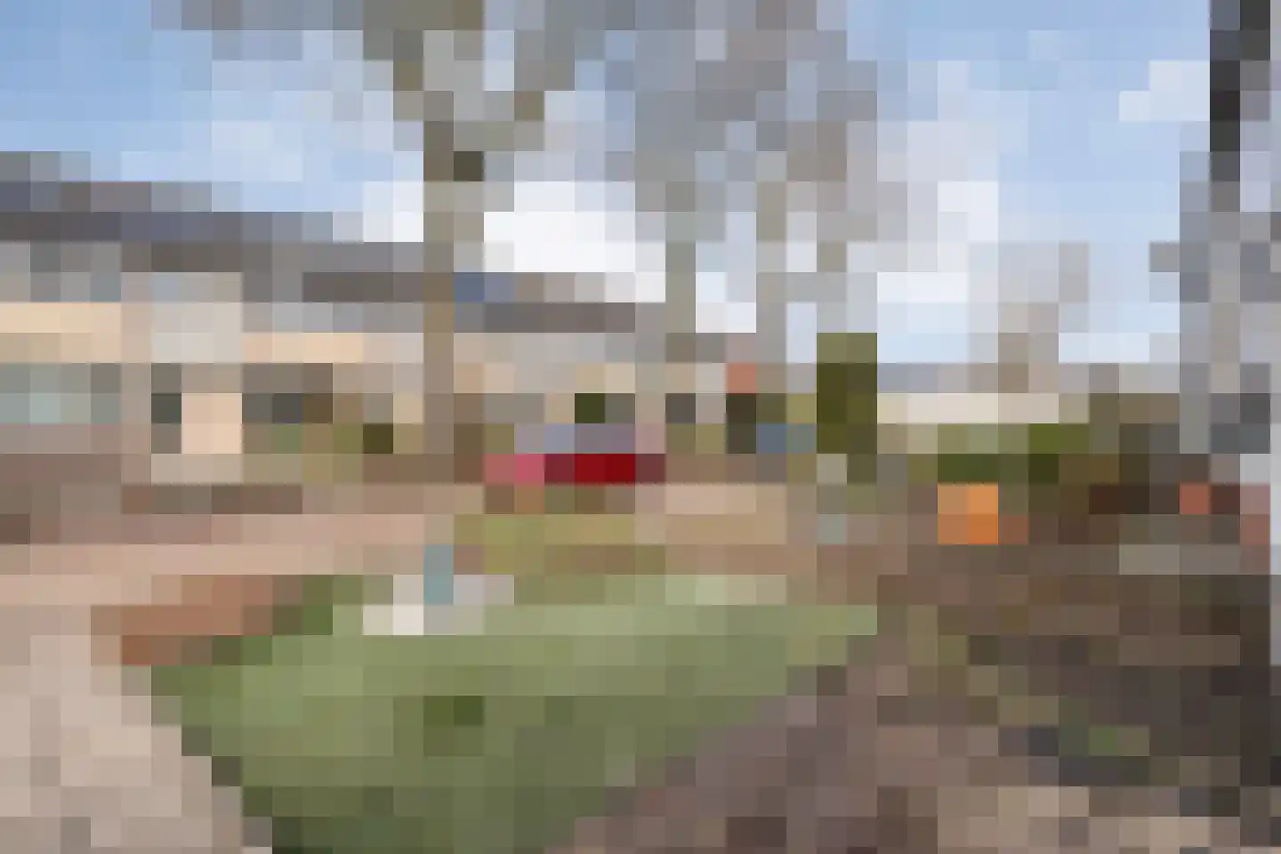 Wilgensingel 50 Raalte thumbnail 42