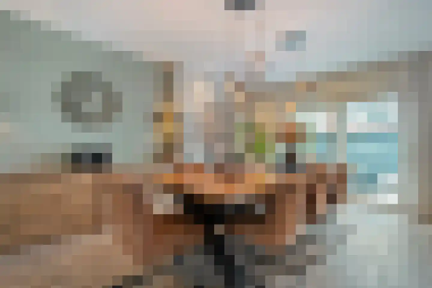 Wilgensingel 60 Raalte thumbnail 13