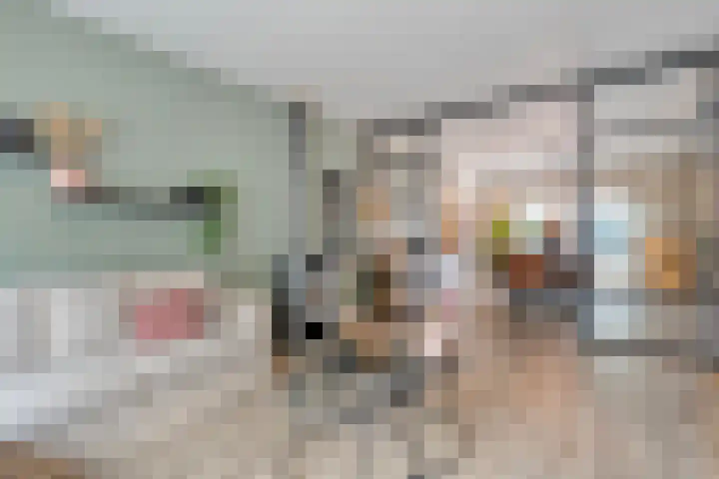 Wilgensingel 60 Raalte thumbnail 16