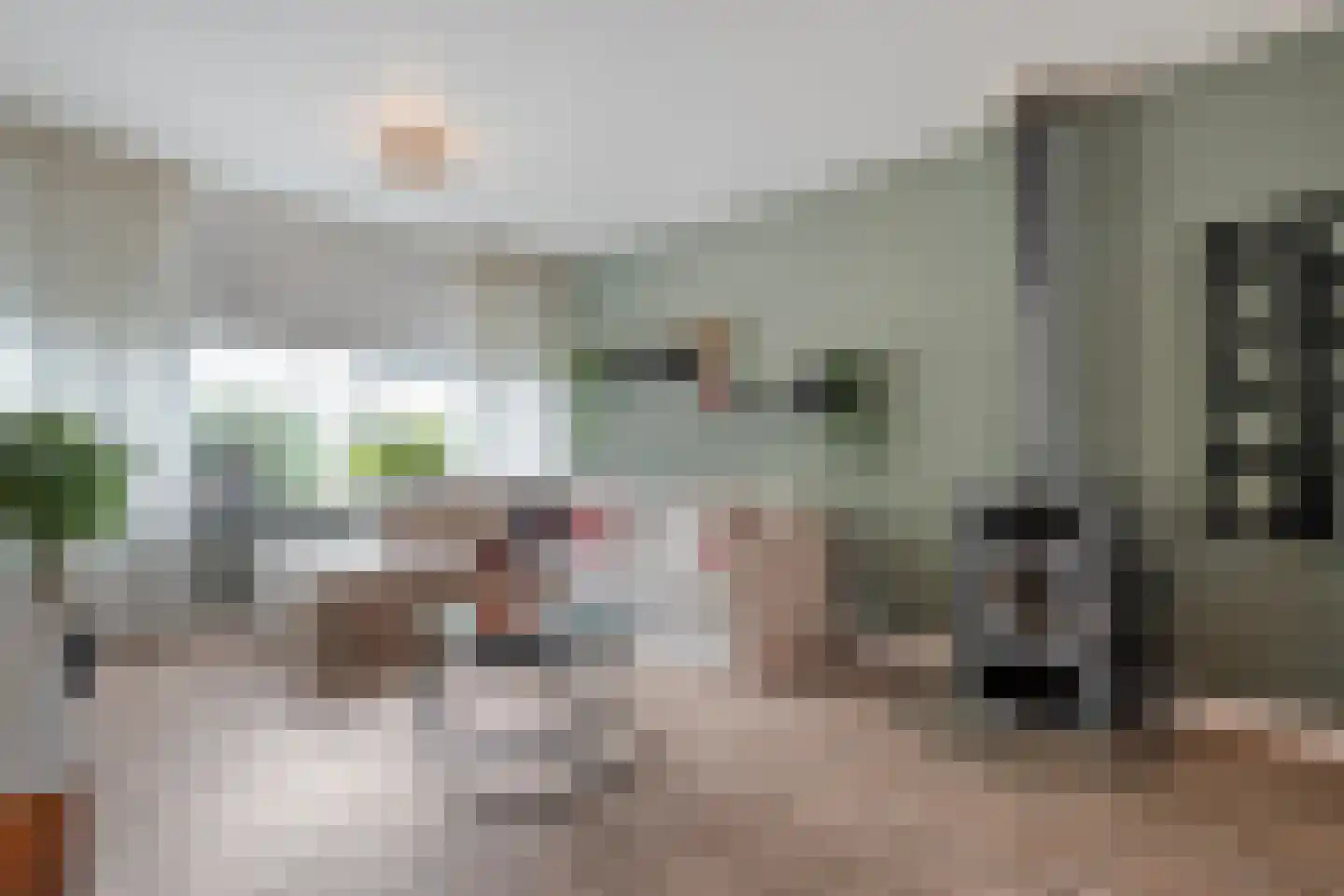 Wilgensingel 60 Raalte thumbnail 17