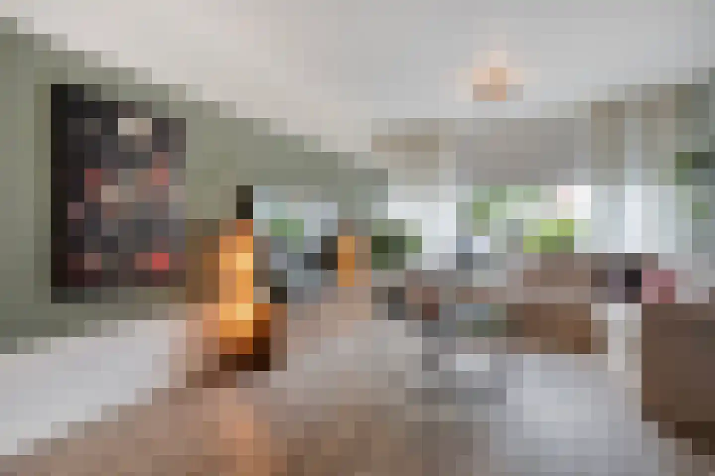 Wilgensingel 60 Raalte thumbnail 18