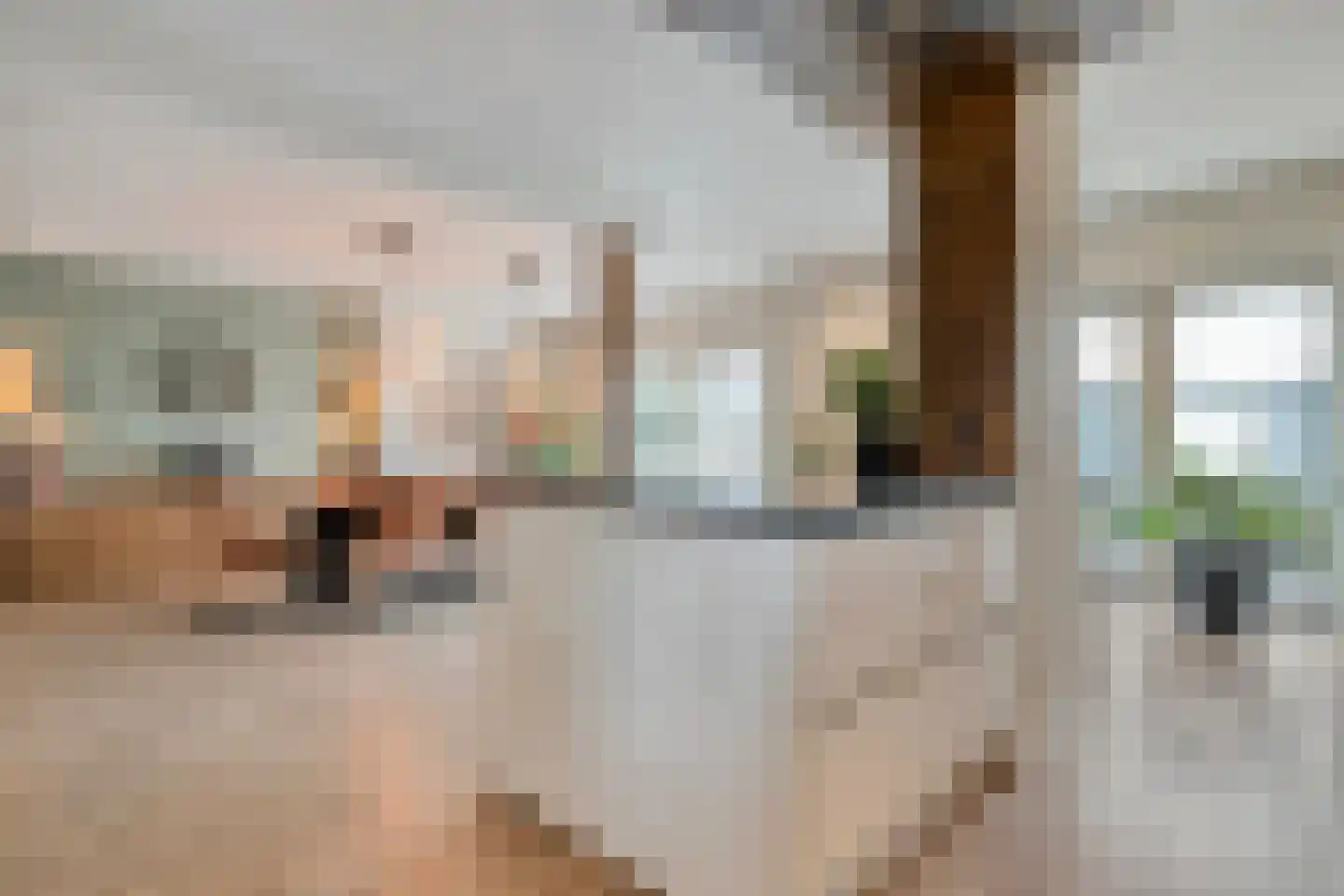 Wilgensingel 60 Raalte thumbnail 21