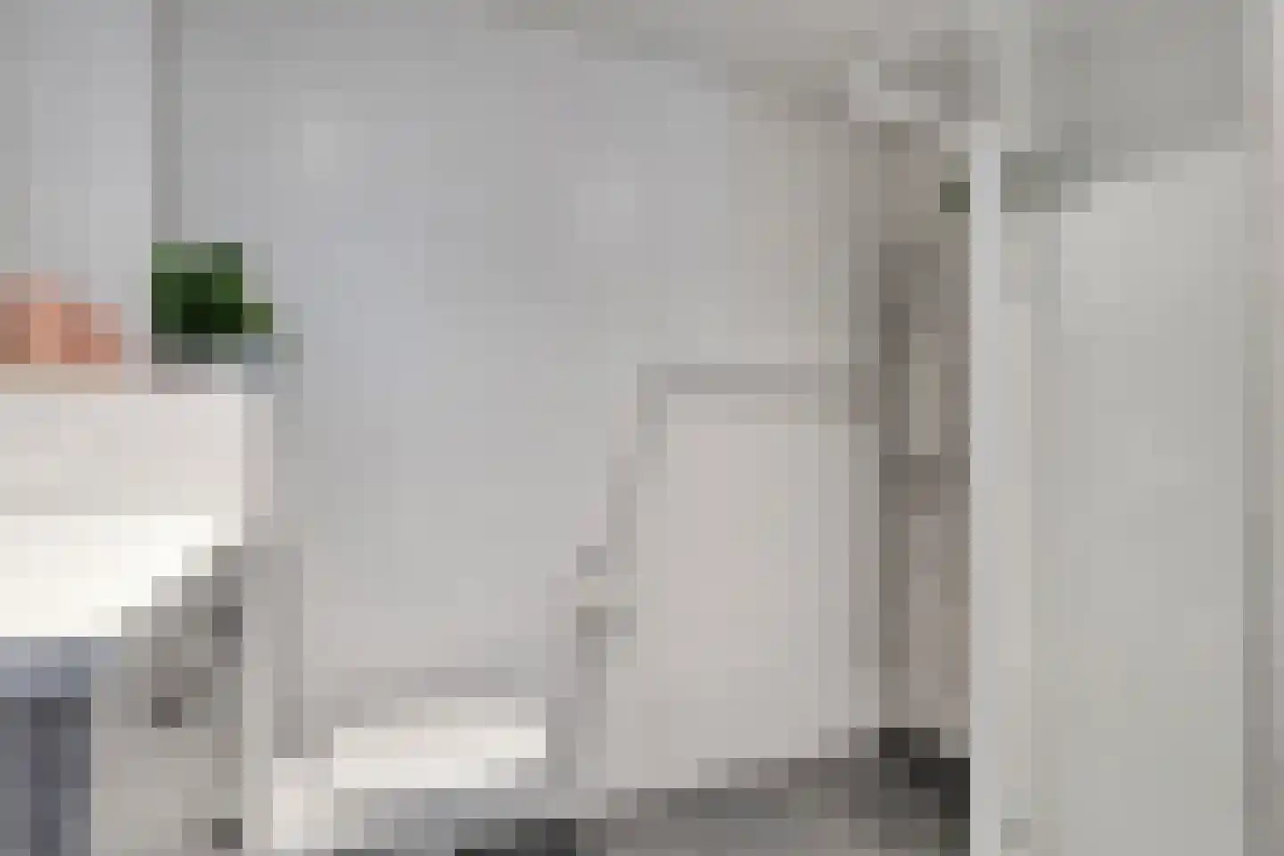Wilgensingel 60 Raalte thumbnail 47