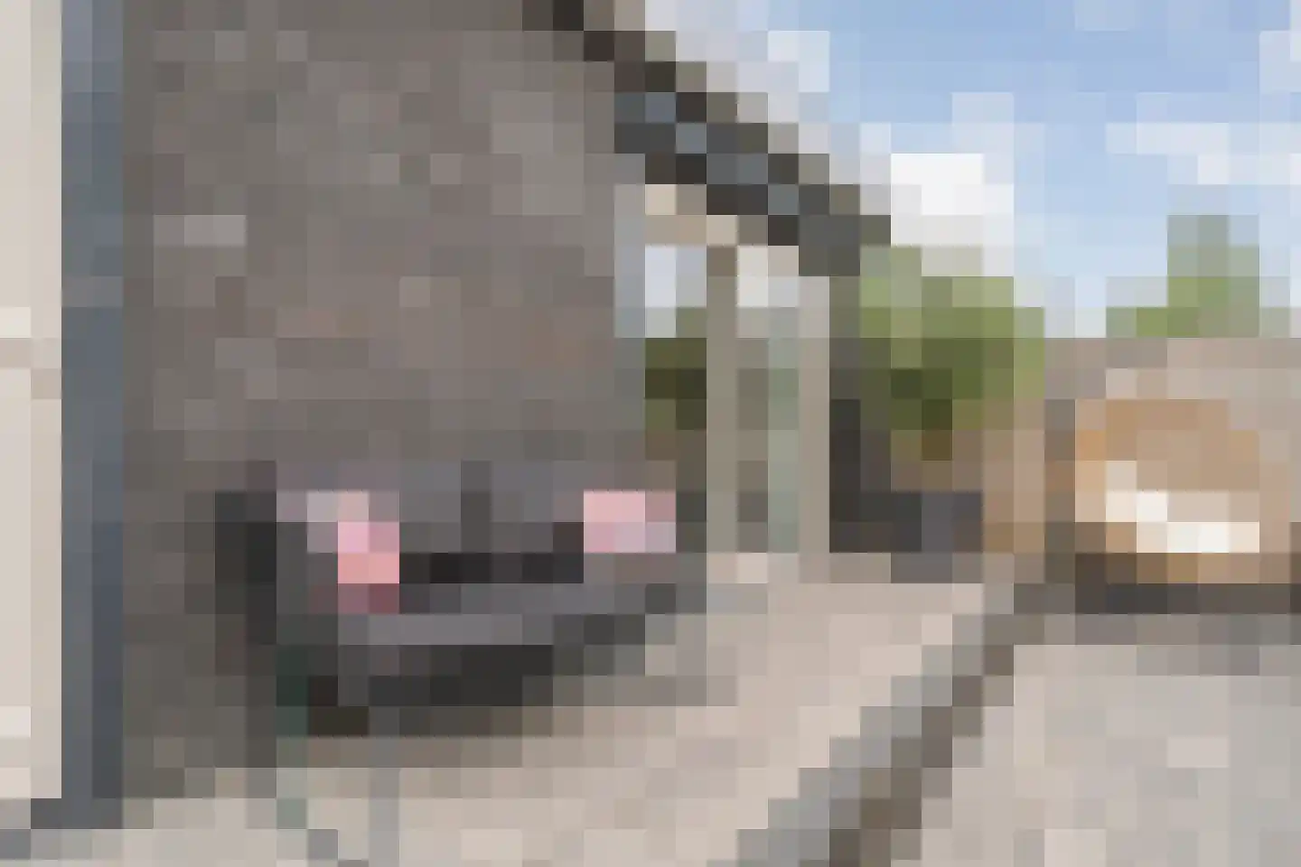 Wilgensingel 60 Raalte thumbnail 50