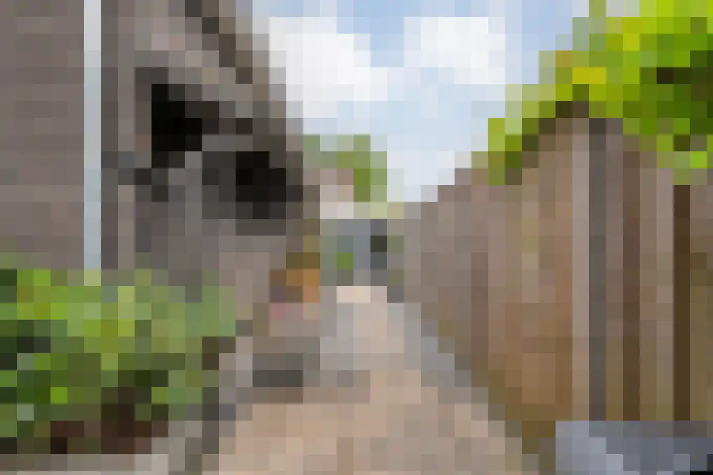 Wilgensingel 60 Raalte thumbnail 54