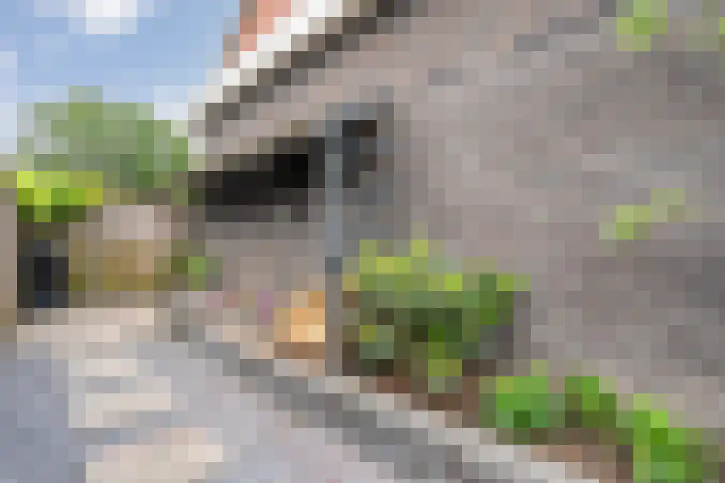 Wilgensingel 60 Raalte thumbnail 58