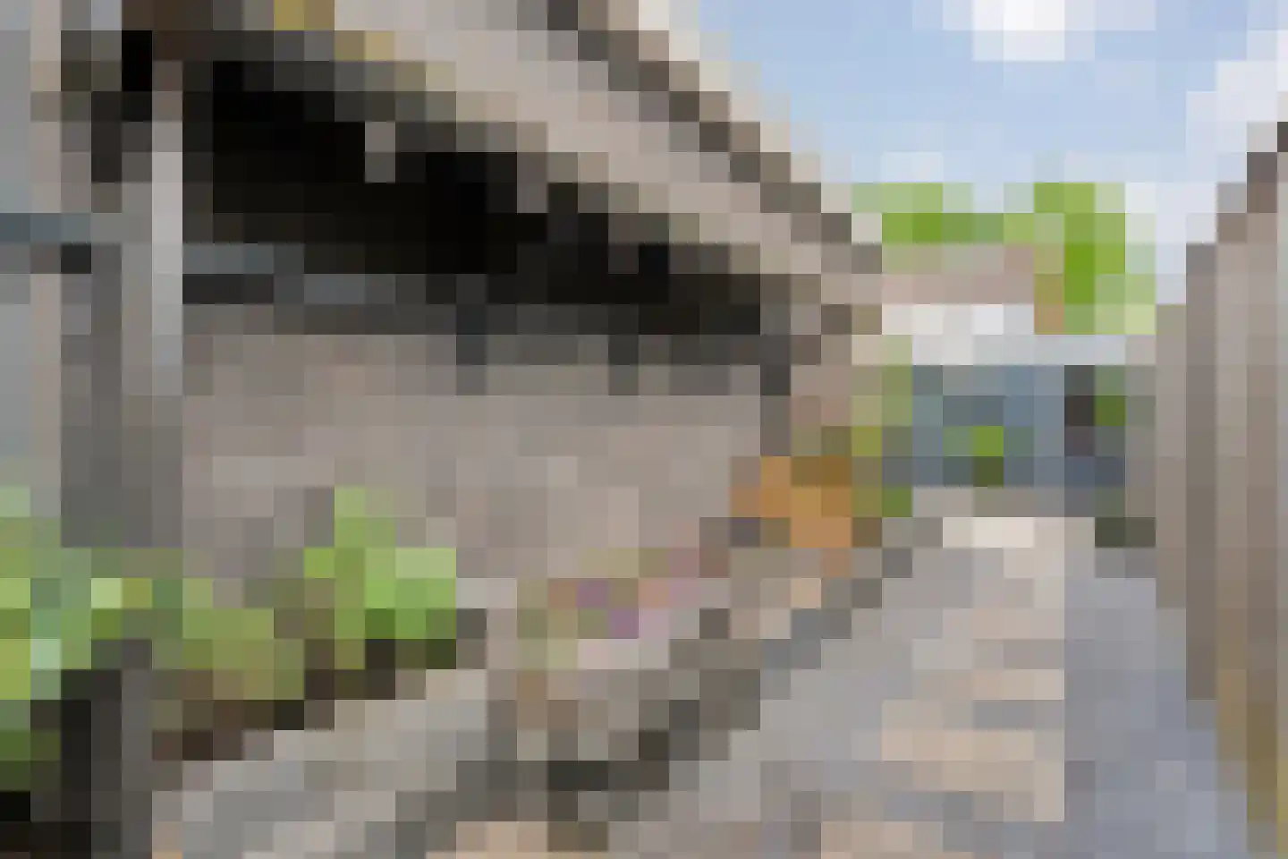 Wilgensingel 60 Raalte thumbnail 59