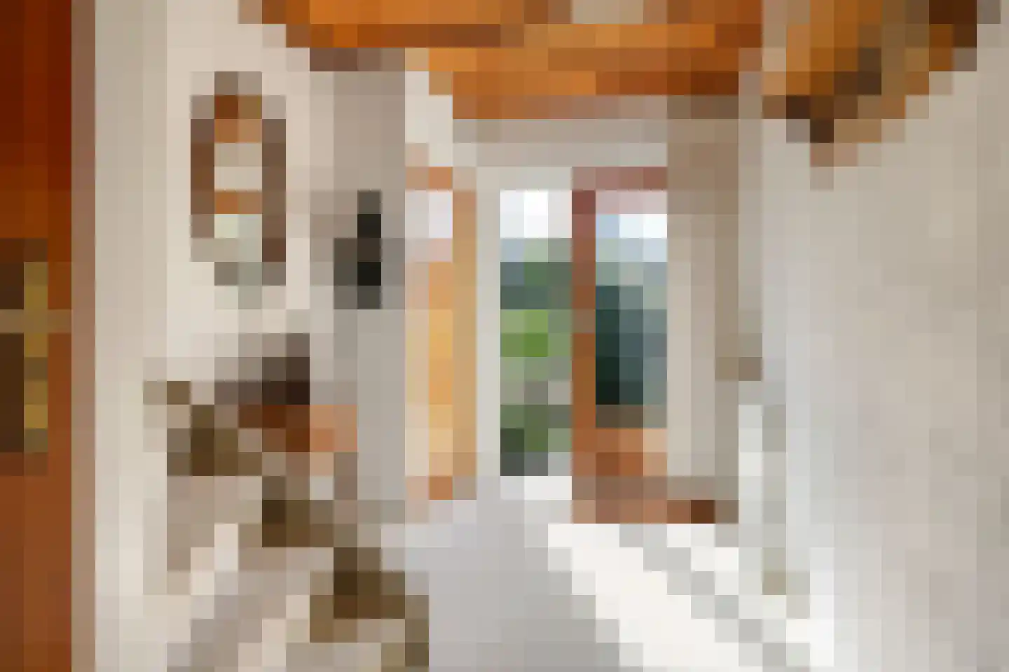 Wilgenstraat 1 Huissen thumbnail 10
